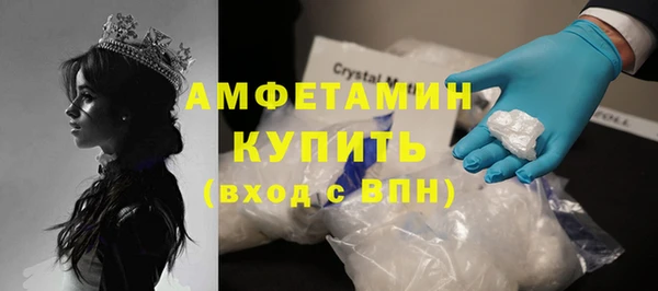 амф Верея