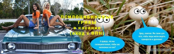 амф Верея