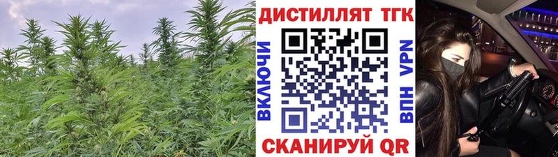 Дистиллят ТГК Wax  дарк нет Telegram  Реж 