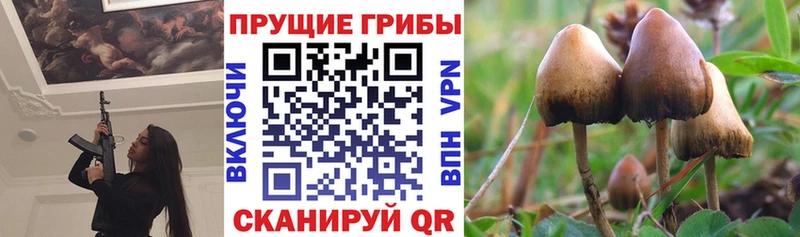 Галлюциногенные грибы ЛСД  наркота  Реж 