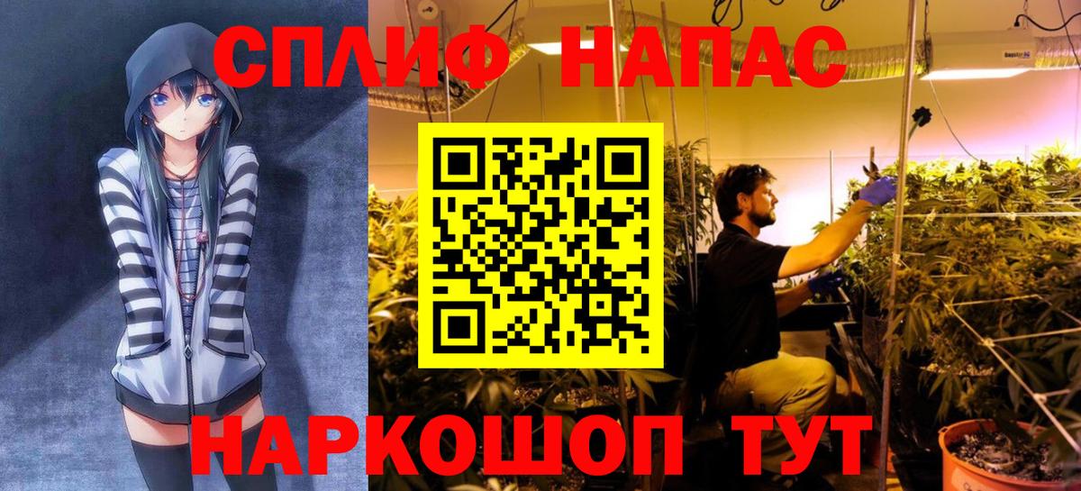 Бошки марихуана сатива  МАРИХУАНА ГИДРОПОН  Вход с VPN  Реж  Каннабис конопля 